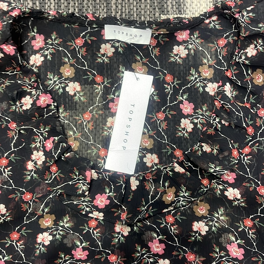 BNWT Top Shop Size 4 Sheer Top - Picture 2 of 3